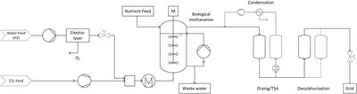 Techno-Economic Evaluation of Biological and Fluidised-Bed Based Methanation Process Chains for Grid-Ready Biomethane Production